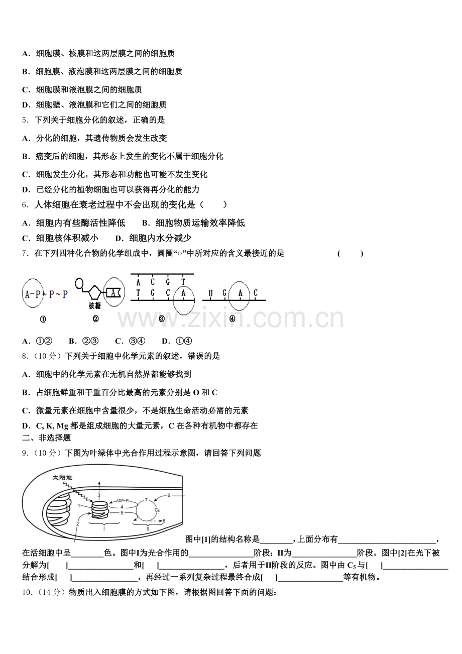 2025-2026学年云南省玉溪市峨山县三中高一上生物期末综合测试试题含解析.doc_第2页