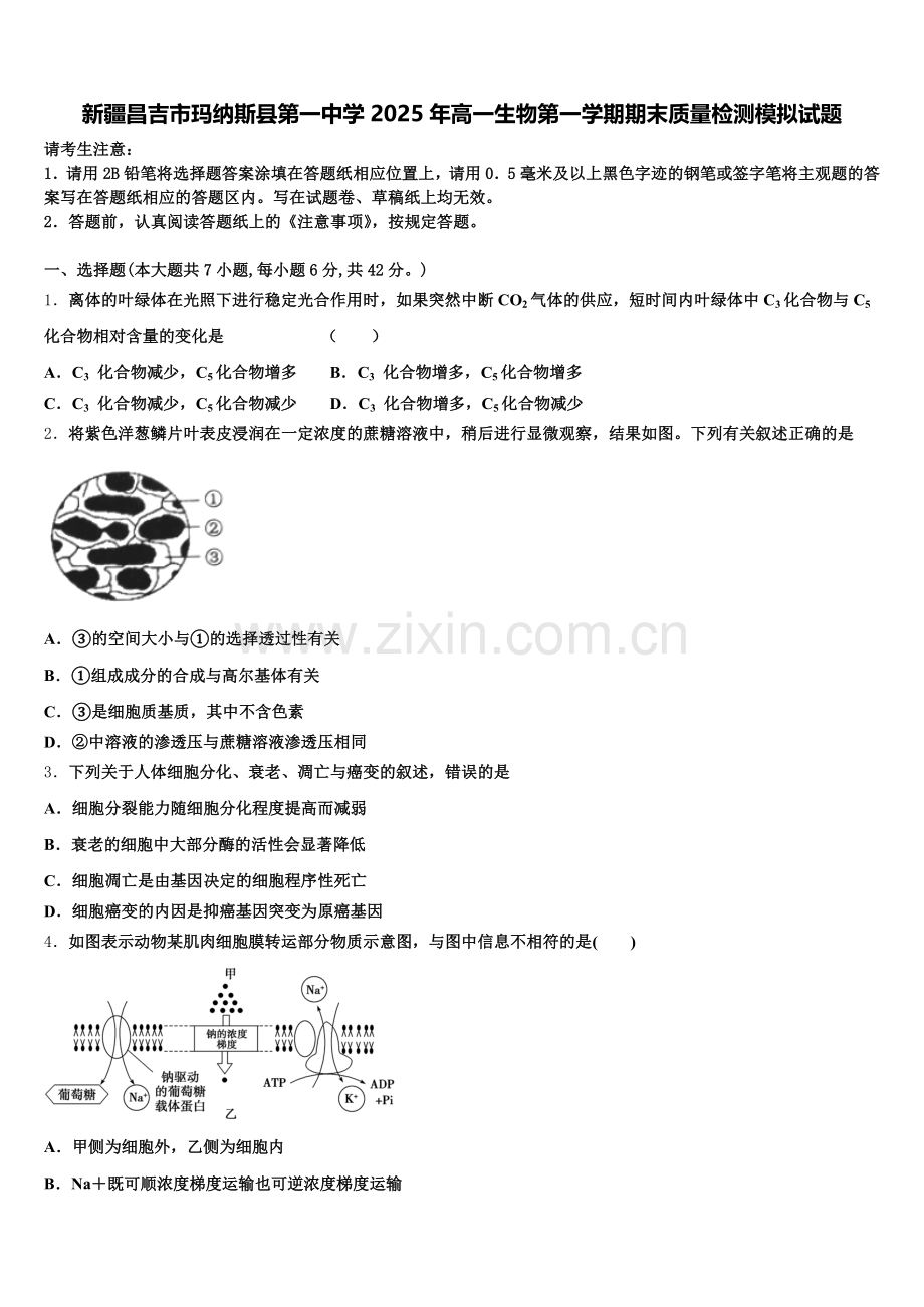 新疆昌吉市玛纳斯县第一中学2025年高一生物第一学期期末质量检测模拟试题含解析.doc_第1页