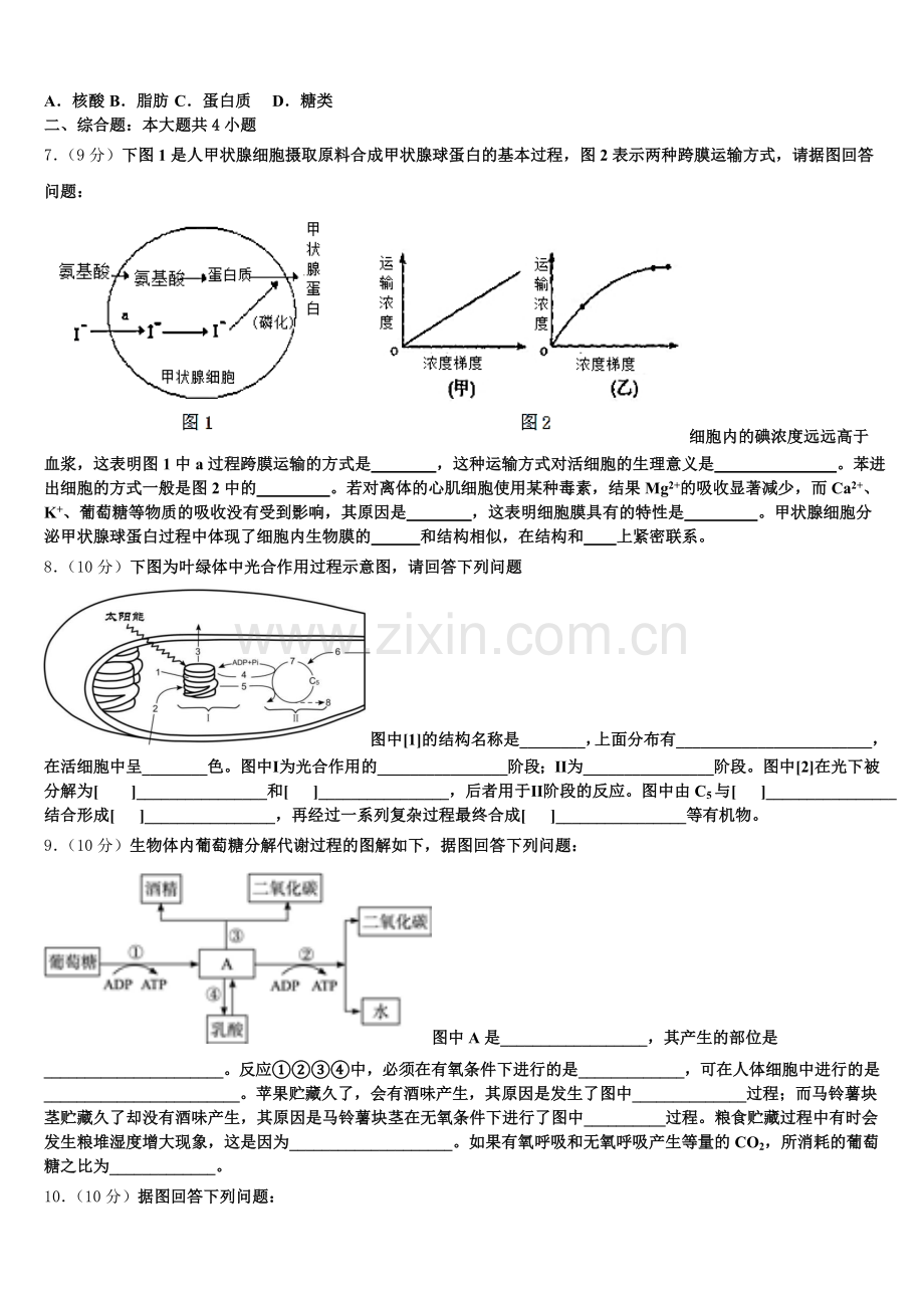 辽宁省沈阳市实验中学2025年生物高一上期末达标测试试题含解析.doc_第2页