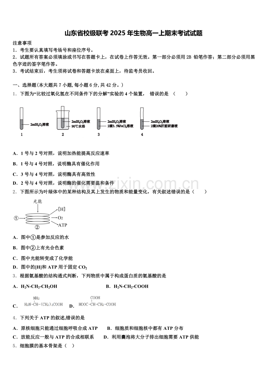 山东省校级联考2025年生物高一上期末考试试题含解析.doc_第1页