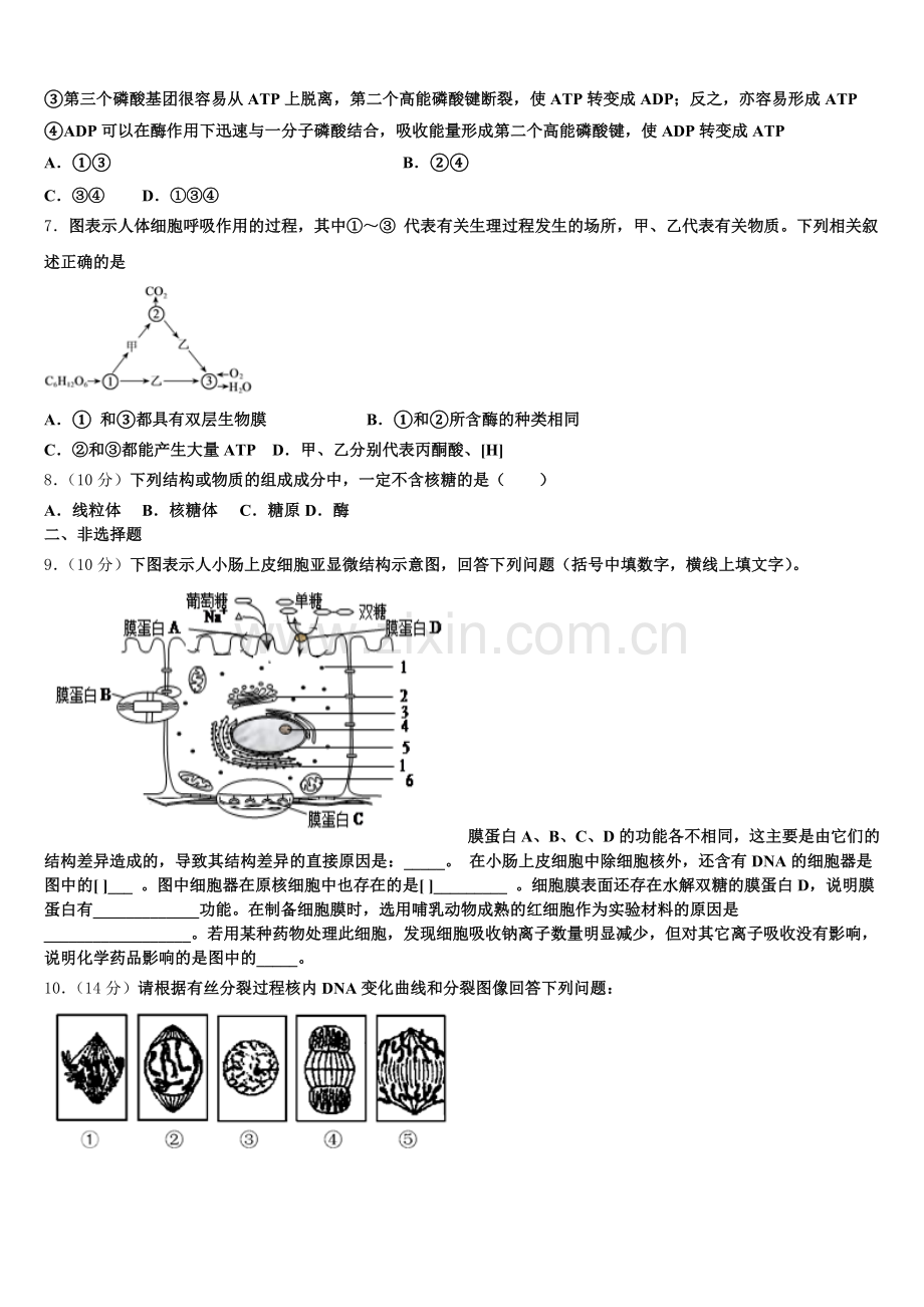 江苏省徐州市睢宁县第一中学2026届高一生物第一学期期末学业质量监测模拟试题含解析.doc_第2页