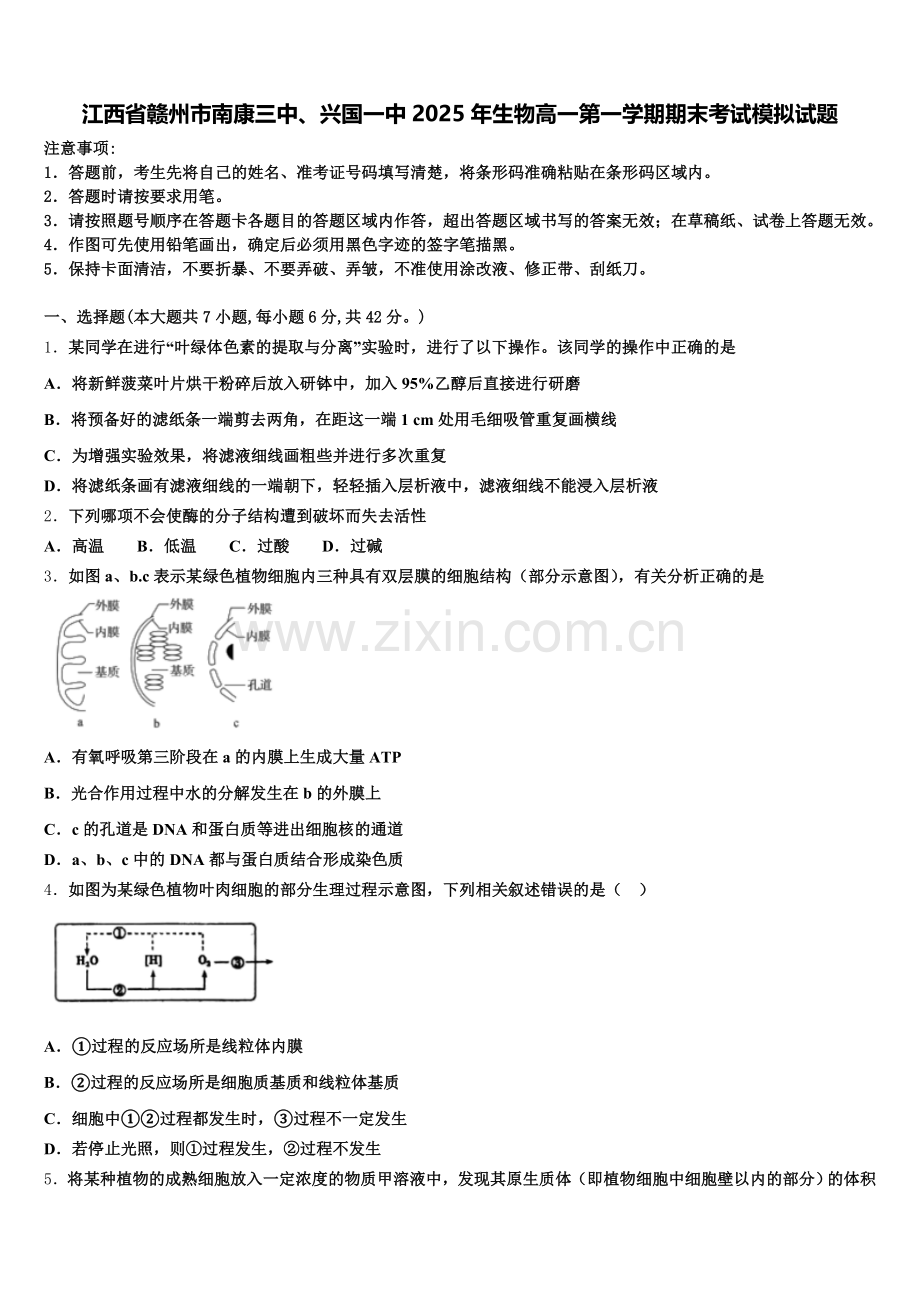 江西省赣州市南康三中、兴国一中2025年生物高一第一学期期末考试模拟试题含解析.doc_第1页