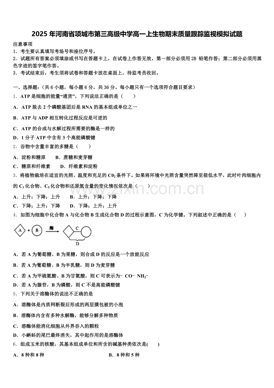 2025年河南省项城市第三高级中学高一上生物期末质量跟踪监视模拟试题含解析.doc_第1页