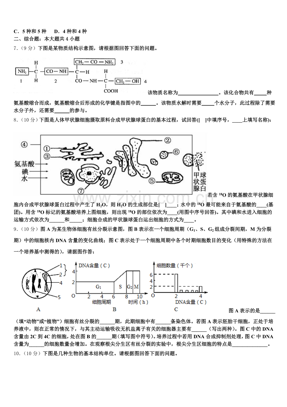 2025年河南省项城市第三高级中学高一上生物期末质量跟踪监视模拟试题含解析.doc_第2页