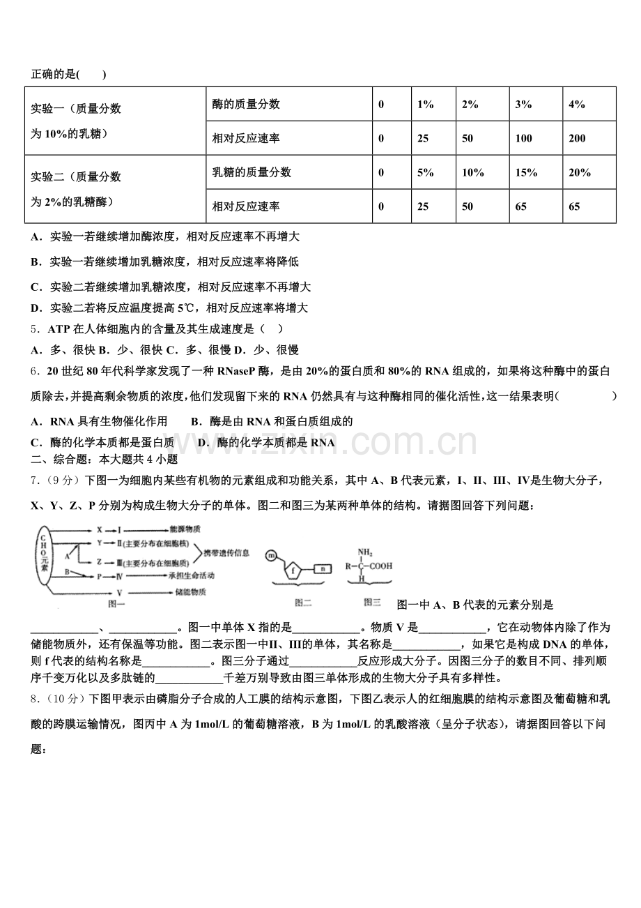 2025年北京科技大学附属中学生物高一上期末复习检测模拟试题含解析.doc_第2页