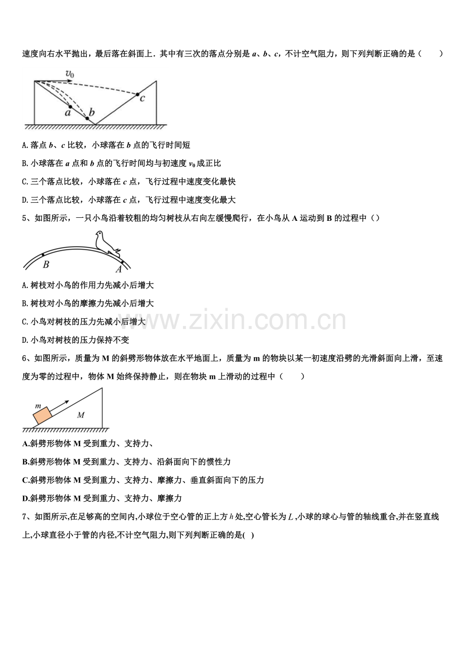 2025年广东省佛山市华南师范大学附属中学南海实验高级中学高一上物理期末综合测试模拟试题含解析.doc_第2页