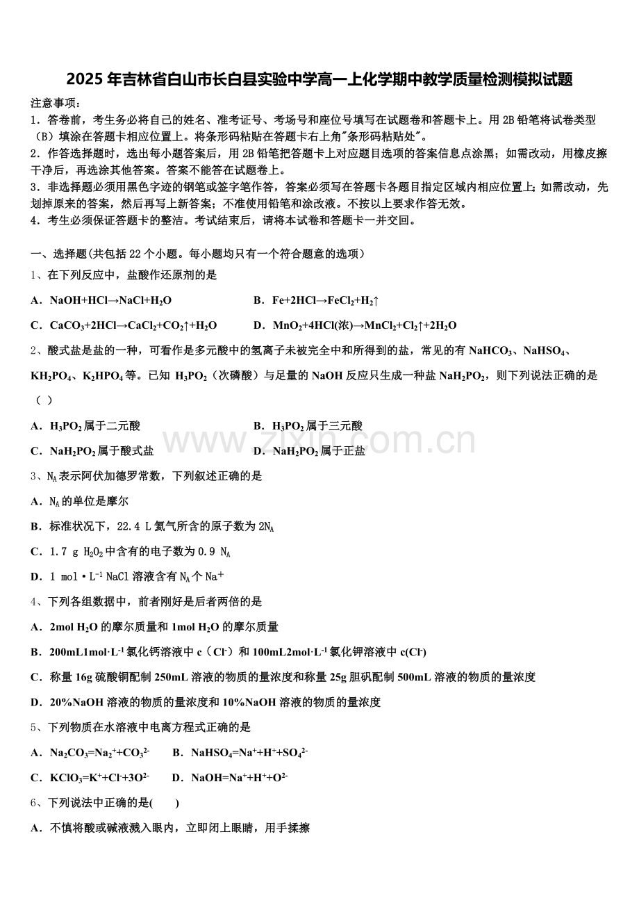 2025年吉林省白山市长白县实验中学高一上化学期中教学质量检测模拟试题含解析.doc_第1页
