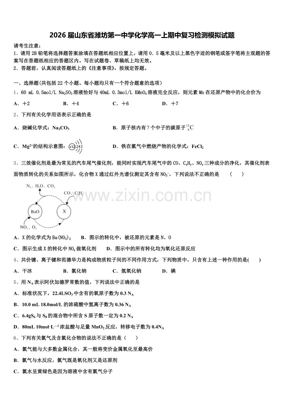 2026届山东省潍坊第一中学化学高一上期中复习检测模拟试题含解析.doc_第1页