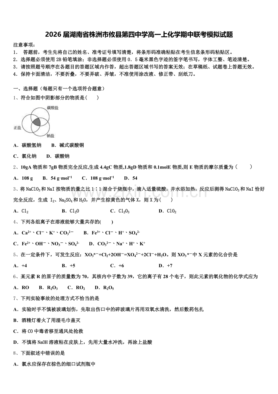 2026届湖南省株洲市攸县第四中学高一上化学期中联考模拟试题含解析.doc_第1页