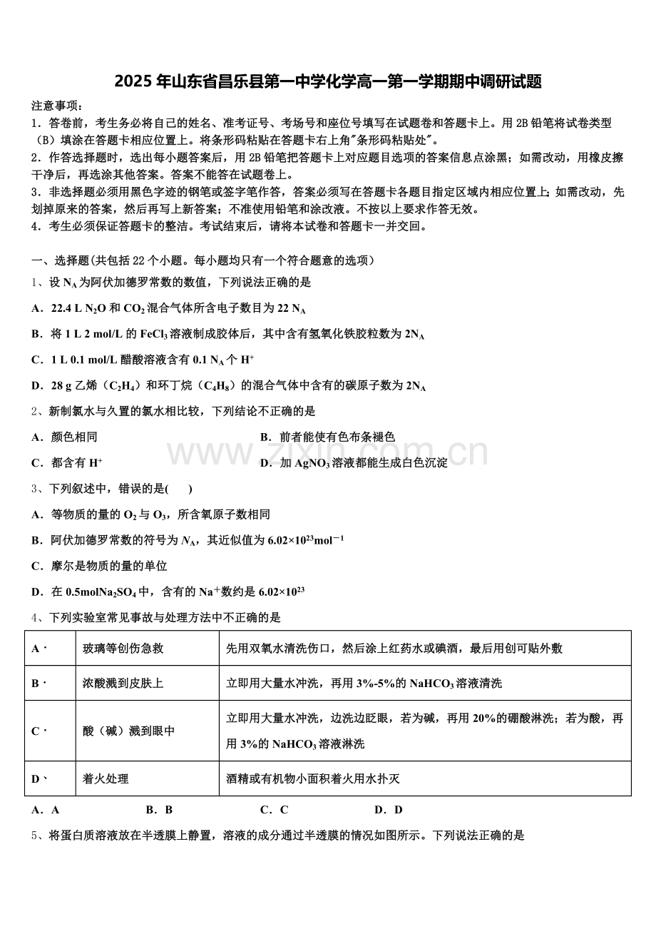 2025年山东省昌乐县第一中学化学高一第一学期期中调研试题含解析.doc_第1页