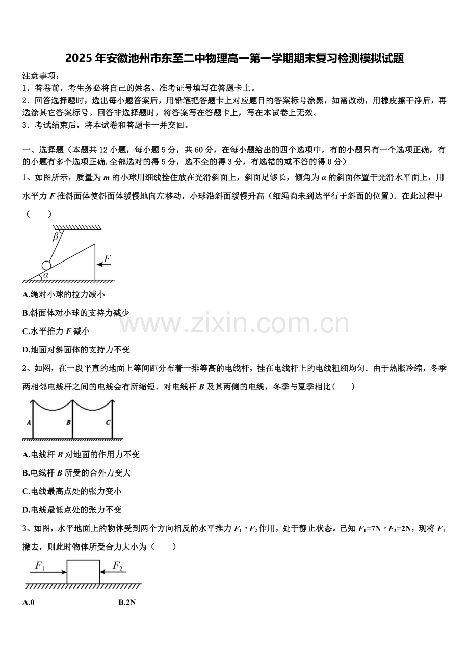 2025年安徽池州市东至二中物理高一第一学期期末复习检测模拟试题含解析.doc_第1页
