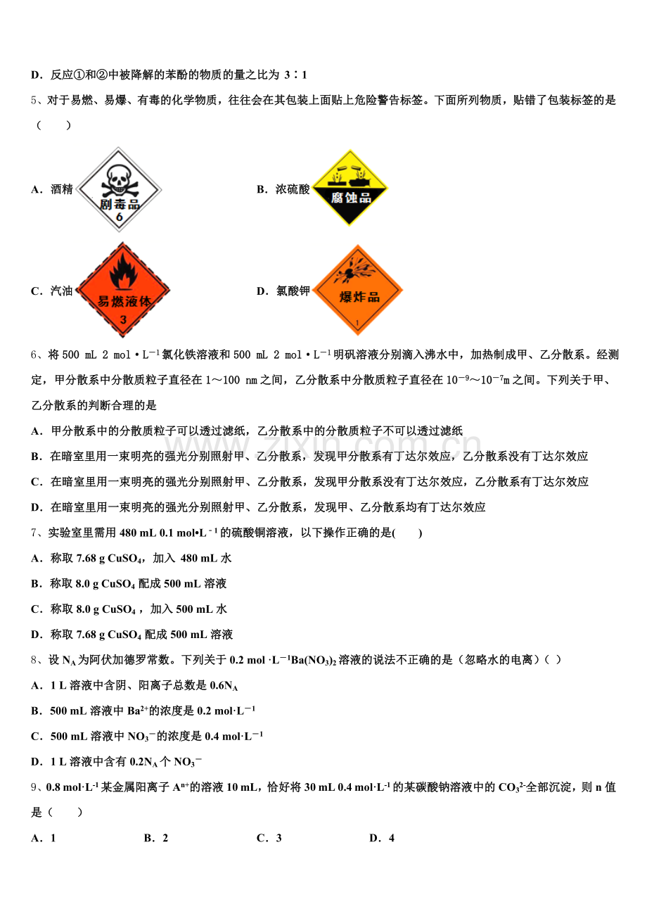 广东省执信中学2025年化学高一上期中监测模拟试题含解析.doc_第2页