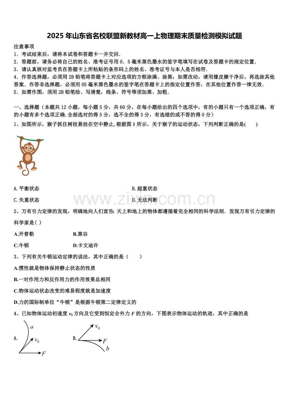 2025年山东省名校联盟新教材高一上物理期末质量检测模拟试题含解析.doc_第1页