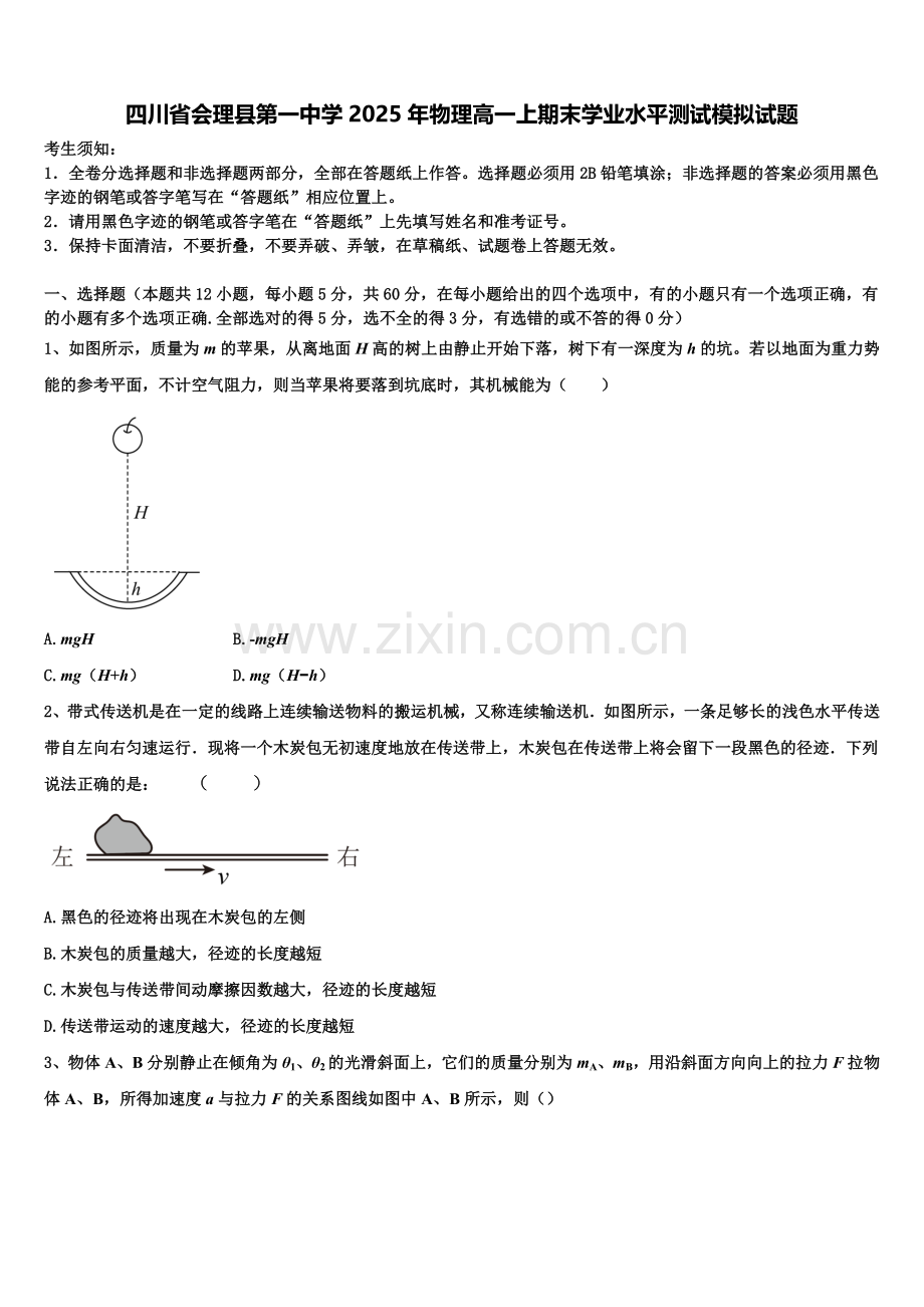 四川省会理县第一中学2025年物理高一上期末学业水平测试模拟试题含解析.doc_第1页