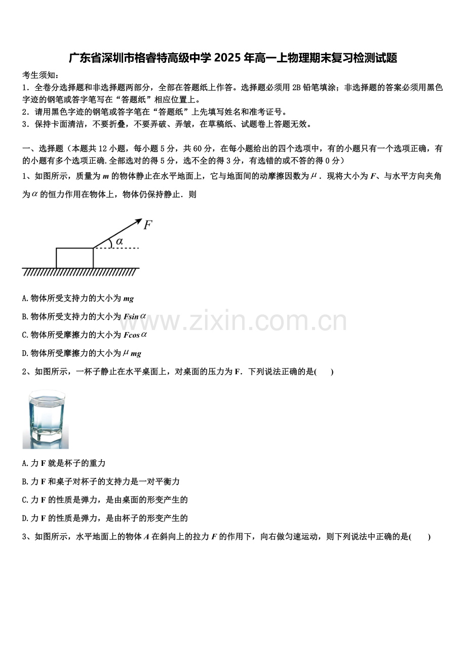 广东省深圳市格睿特高级中学2025年高一上物理期末复习检测试题含解析.doc_第1页