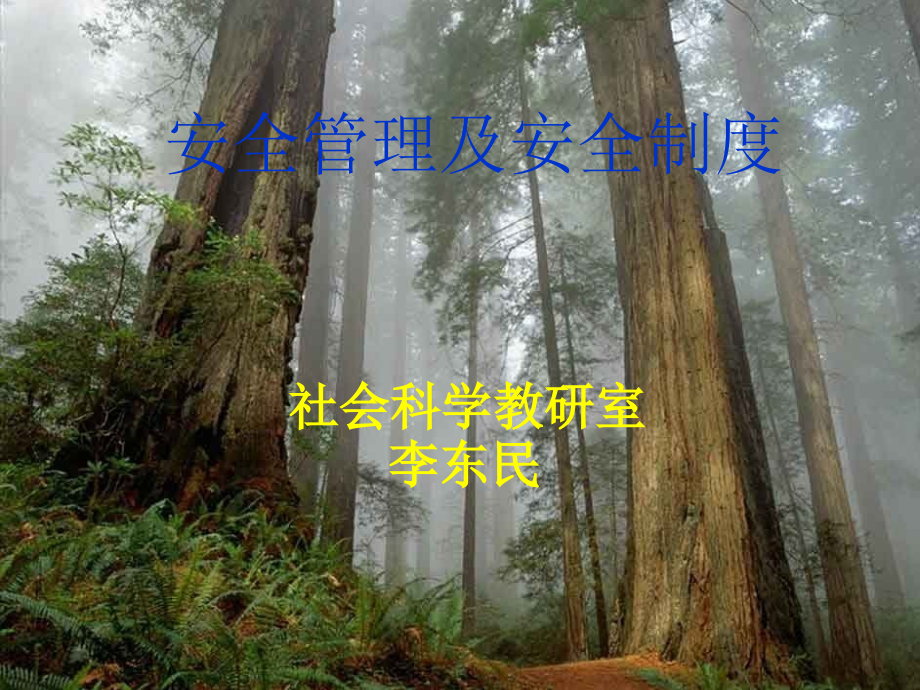安全生产管理人员.ppt_第1页