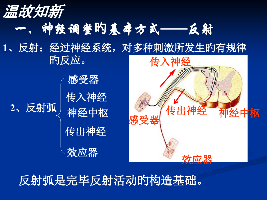 神经冲动的传导.ppt_第2页