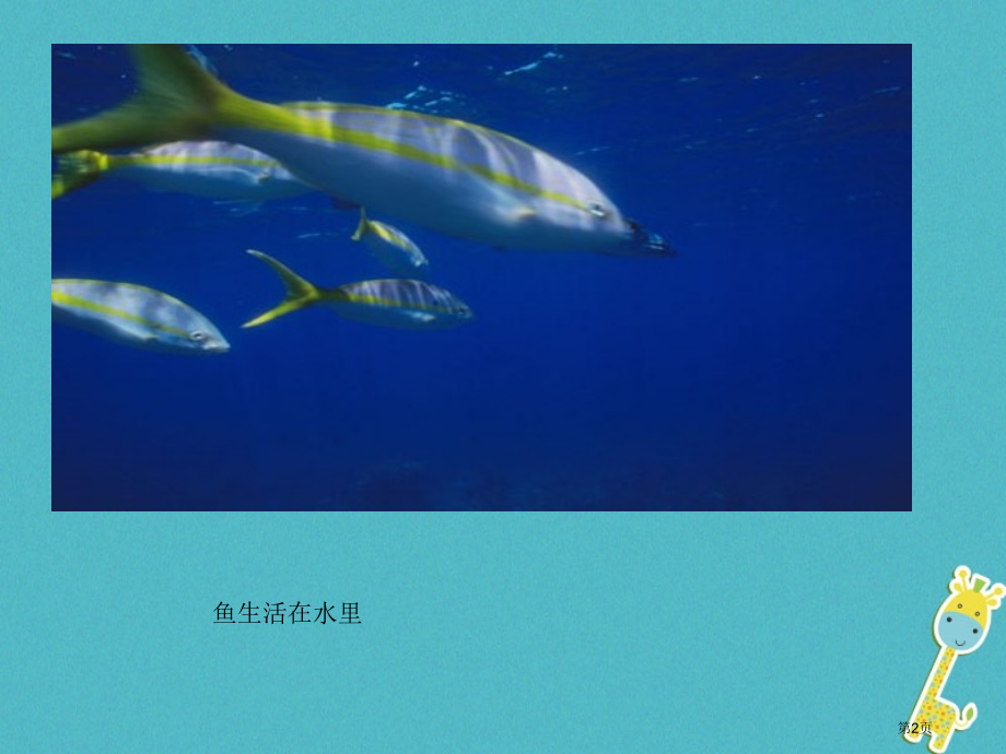 七年级生物上册第一单元第二章第二节环境对生物的影响参考.pptx_第2页