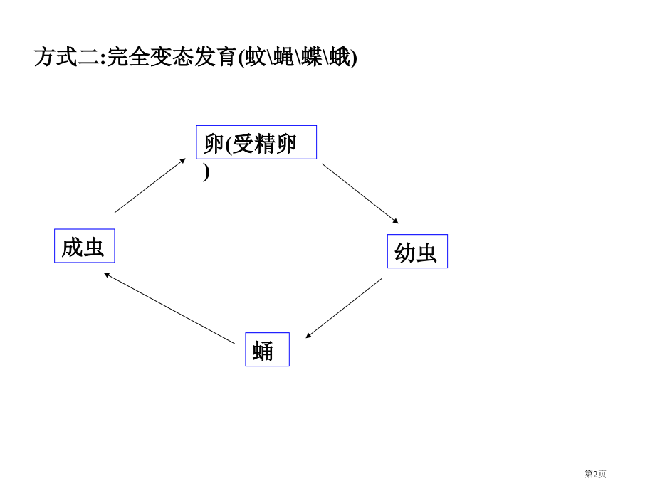 九年级科学生命的延续复习.pptx_第2页