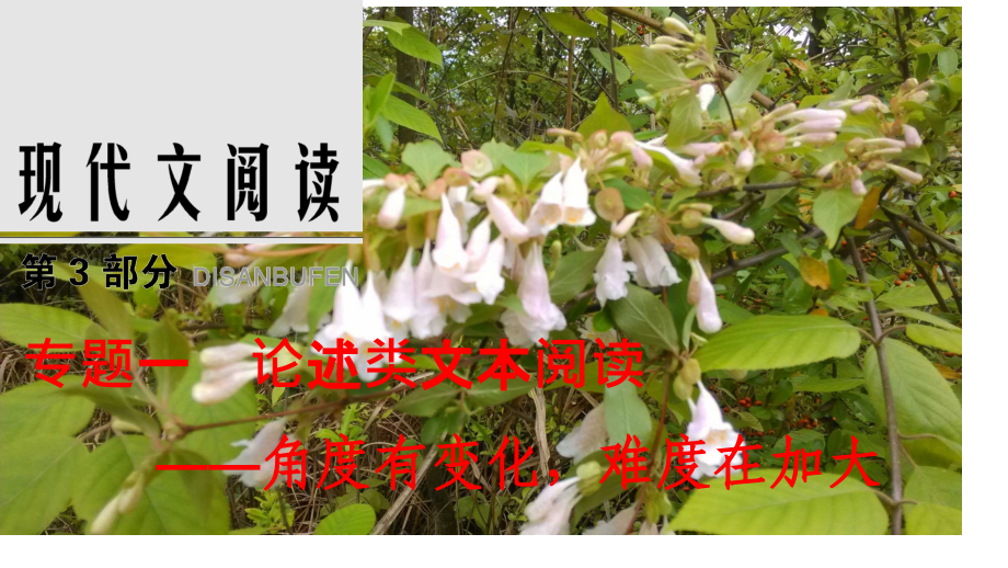 高三论述类文本阅读.pptx_第1页