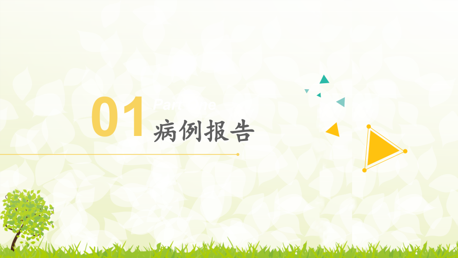 1型糖尿病护理查房.ppt_第2页