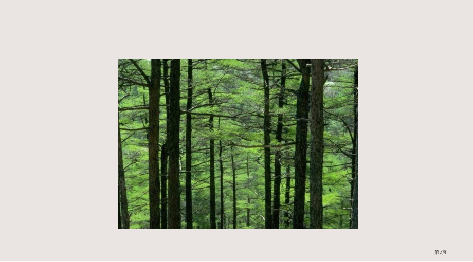 人教版七年级生物上册第一节生物的特征.pptx_第2页