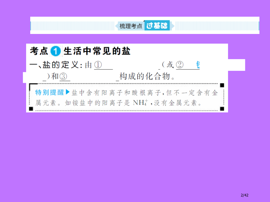 中考化学总复习第十一单元盐化肥.pptx_第2页