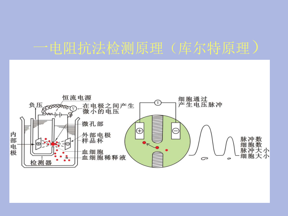 血细胞分析仪检测原理.pptx_第2页