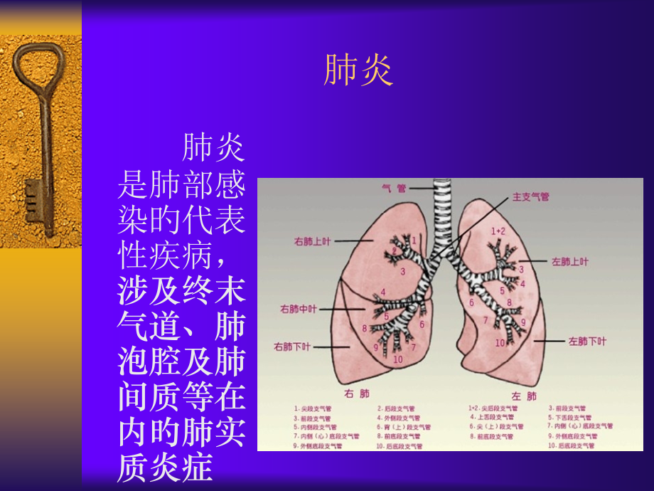 肺部感染专题知识讲座.ppt_第2页