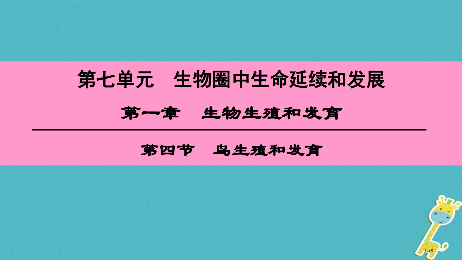 八年级生物下册第七单元第一章第四节鸟的生殖和发育.pptx_第1页