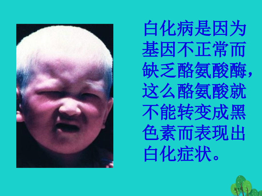 八年级生物上册人类优生与基因组计划常见的遗传病.pptx_第1页