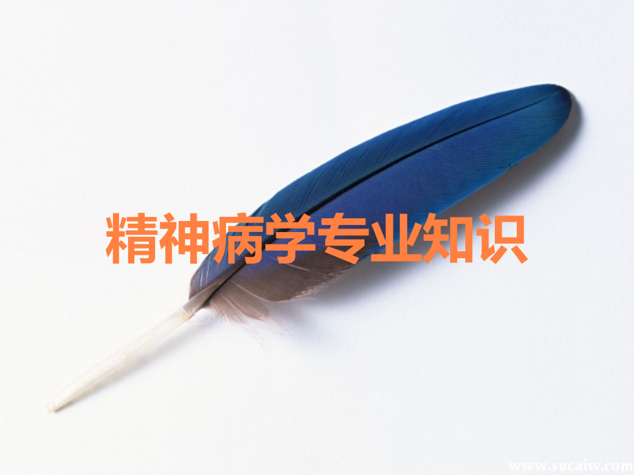 精神病学专业知识.ppt_第1页