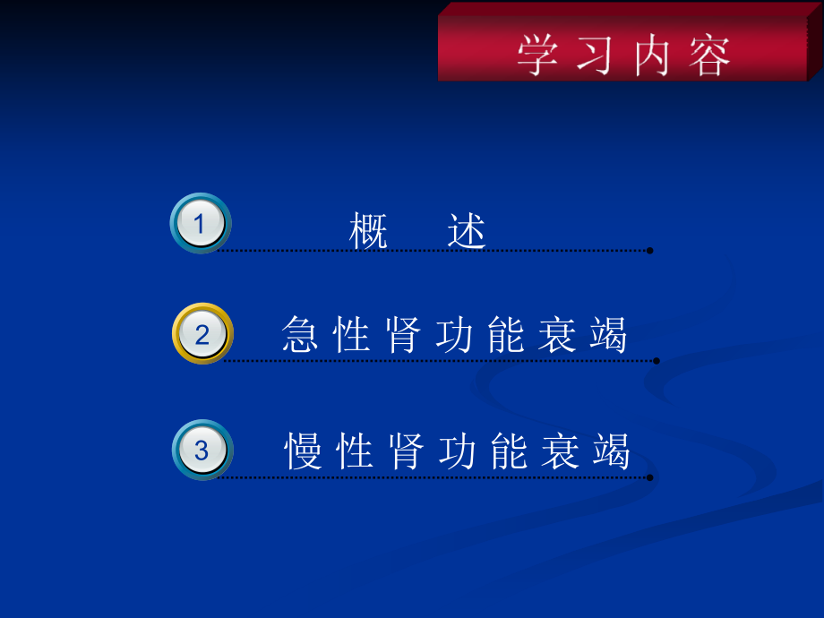 肾功能不全专业知识.ppt_第2页
