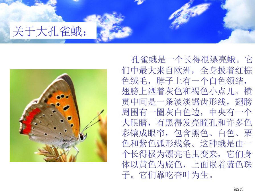 语文六年级下长春版3.3《大孔雀蛾的晚会》.pptx_第2页