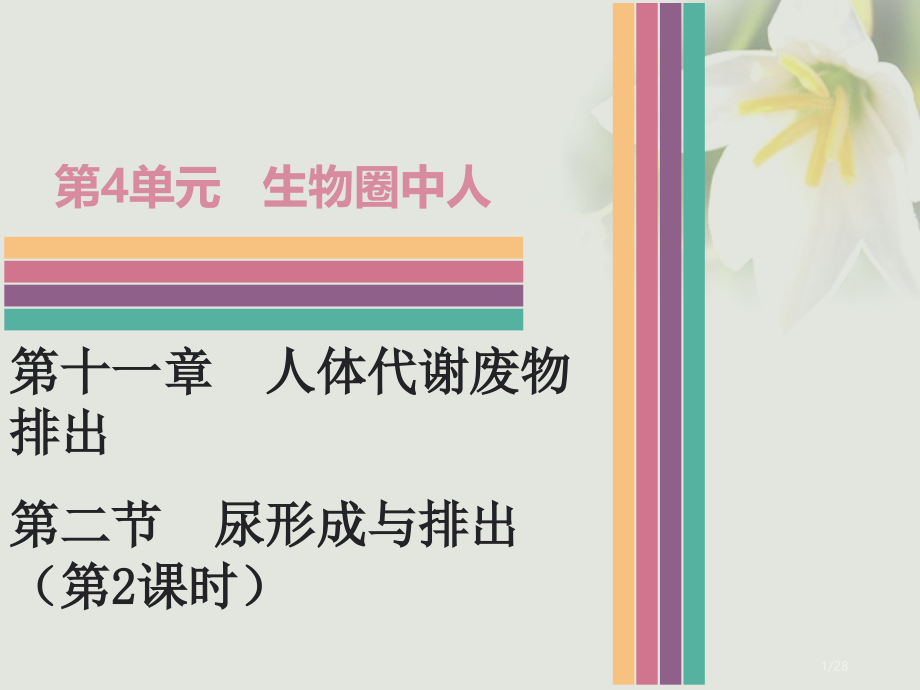 七年级生物下册11.2尿的形成与排出第二课时讲义.pptx_第1页