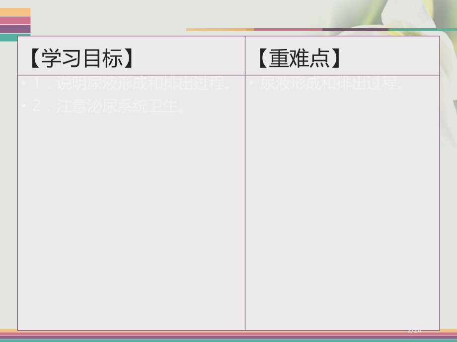 七年级生物下册11.2尿的形成与排出第二课时讲义.pptx_第2页