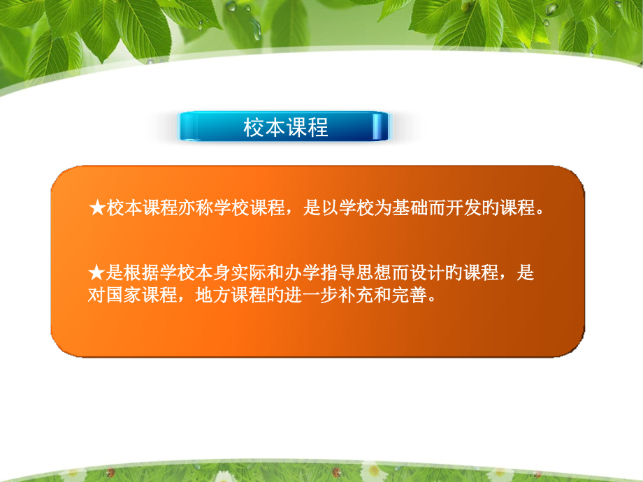 校本课程科目方案设计.pptx_第2页