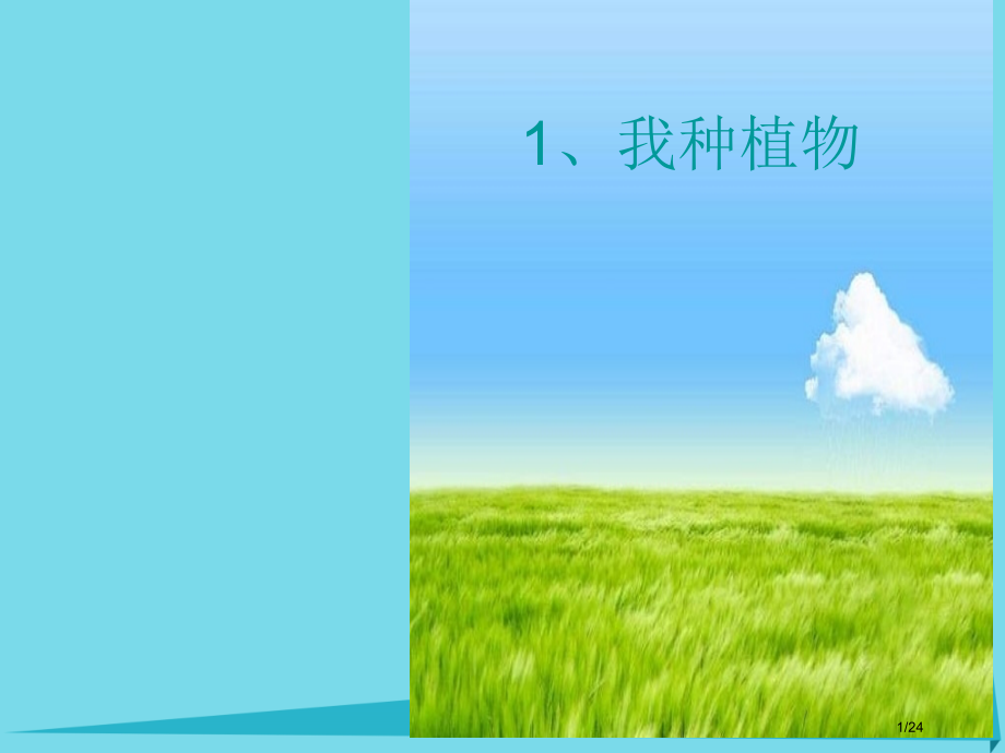 六年级美术上册我种的植物.pptx_第1页