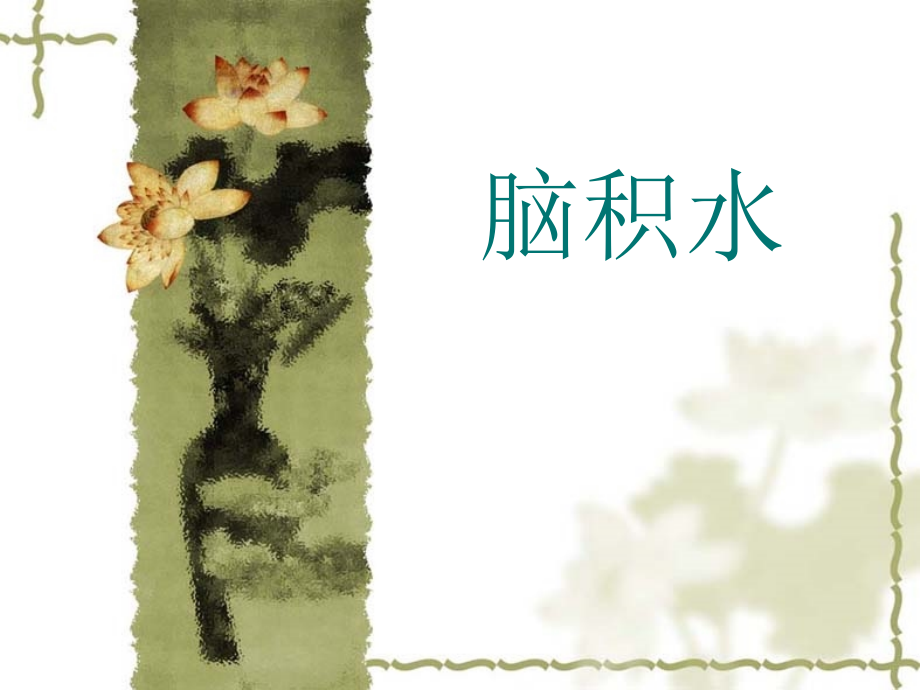 脑积水护理查房.pptx_第1页