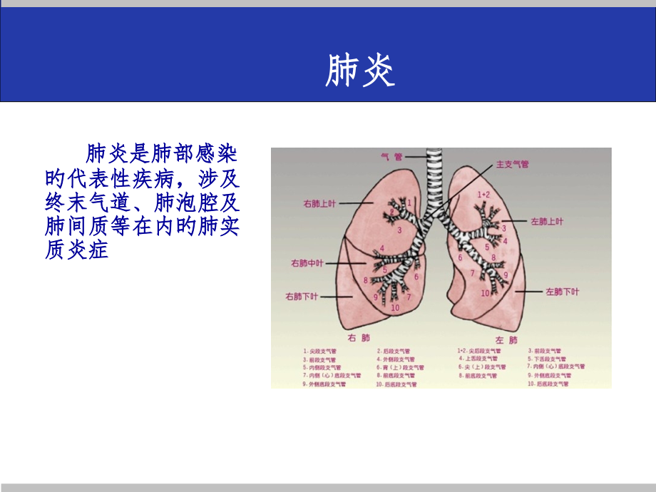 肺部感染专业医学知识宣讲.ppt_第2页
