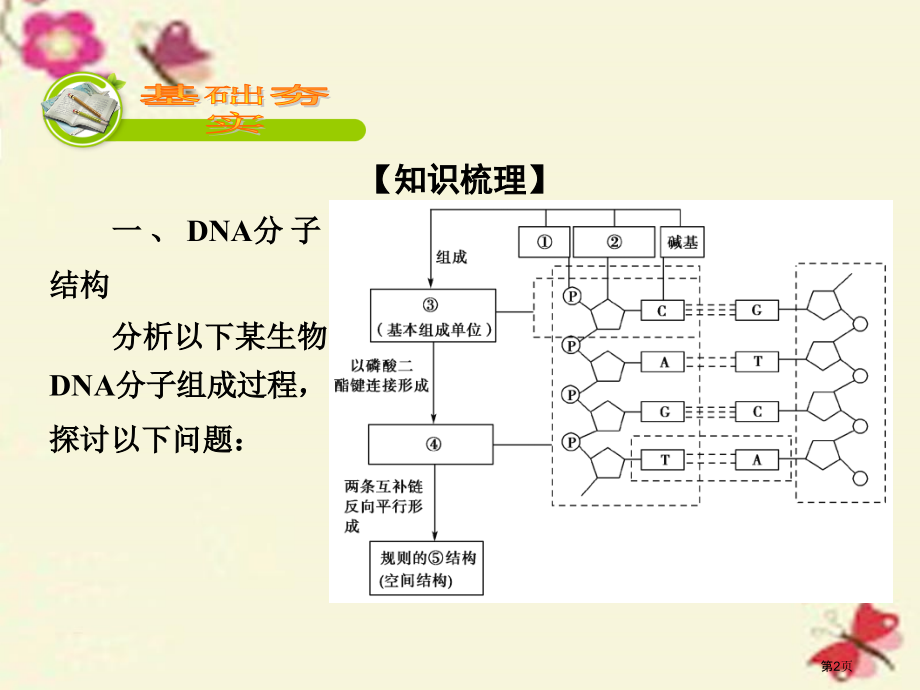 高考生物复习第2单元基因的本质与表达第2讲DNA分子的结构复制与基因的本质.pptx_第2页