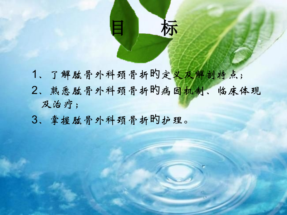 浅谈肱骨外科颈骨折.pptx_第2页