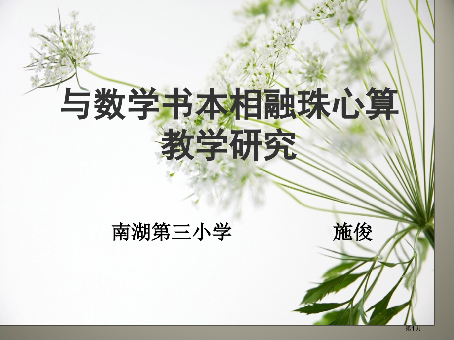 南湖第三小学施俊.pptx_第1页