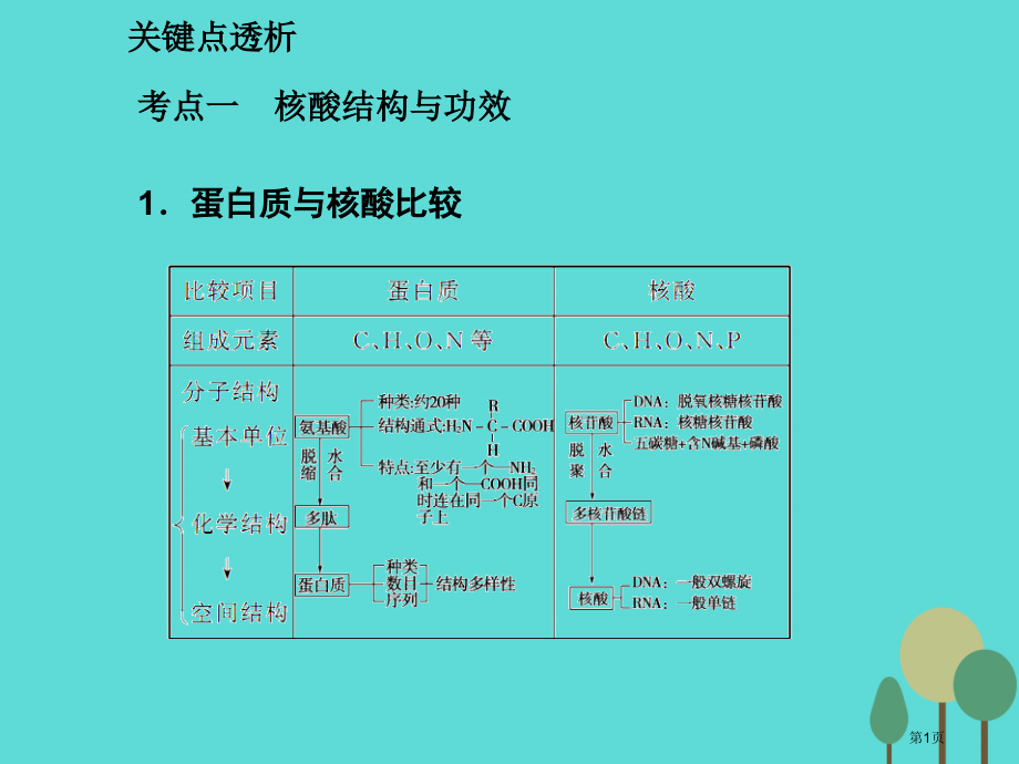 高考生物复习第1单元走近细胞和组成细胞的分子第4讲核酸糖类和脂质.pptx_第1页