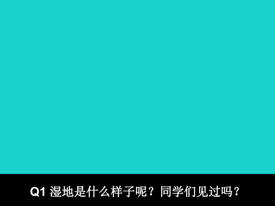 高中地理第二章区域可持续发展2.2湿地资源的开发与保护——以洞庭湖区为例.pptx_第2页