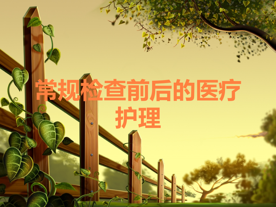 常规检查前后的医疗护理.ppt_第1页
