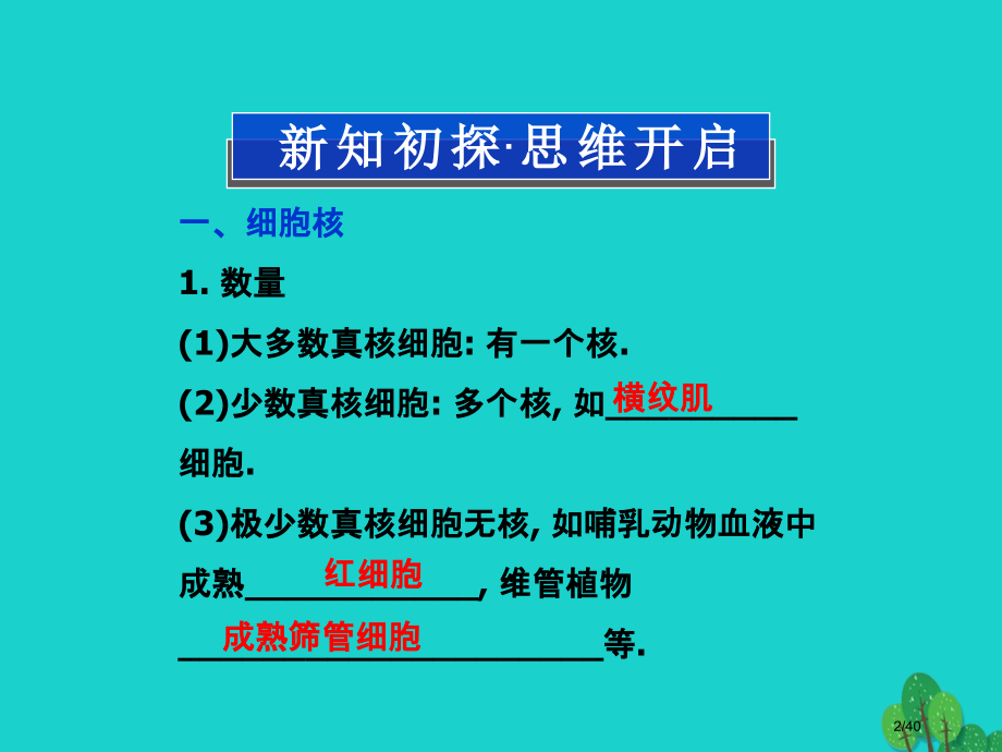 高中生物第三章细胞的结构和功能第二节细胞核生物膜系统.pptx_第2页