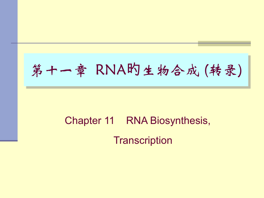 RNA的生物合成转录.pptx_第1页