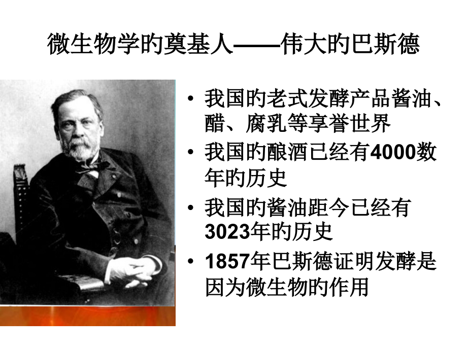 微生物学的奠基人伟大的巴斯德.ppt_第2页