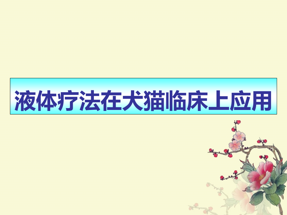 输液在犬猫临床上应用.pptx_第1页